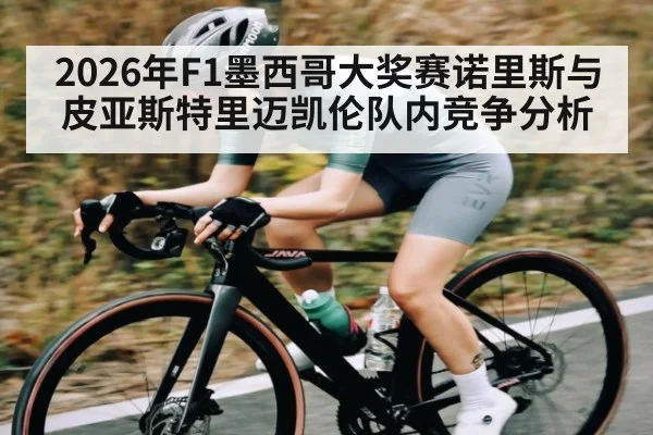 2026年F1墨西哥大奖赛诺里斯与皮亚斯特里迈凯伦队内竞争分析
